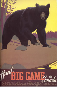 Grizzly bear confronts viewer; red, brown, yellow, black