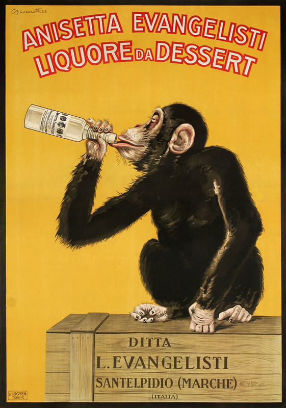 Monkey sitting on wooden crate drinks liquor from the bottle; yellow, brown, red, white