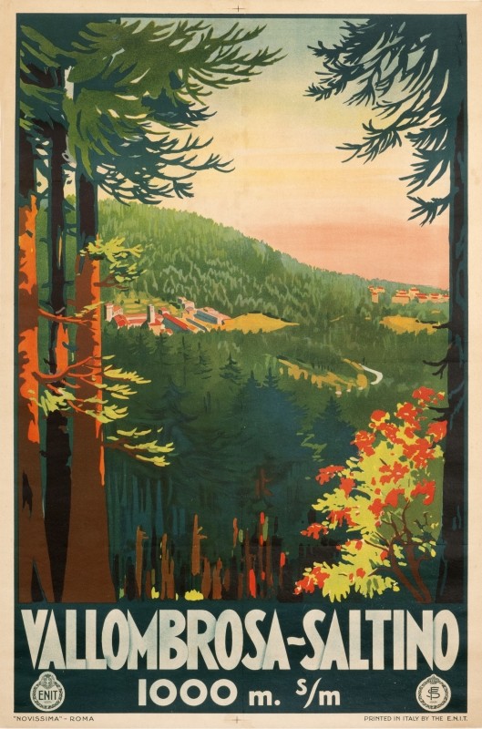 View of a valley between trees at the top of a mountain; green brown, red